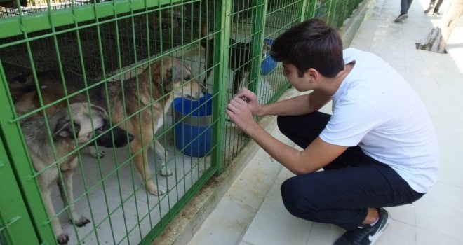 Öğrenciler Harçlıkları İle Köpeklere Mama Aldı Kulübe Yaptırdı