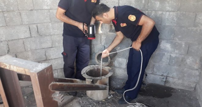 Sondaj Borusuna Düşen Kediyi İtfaiye Kurtardı