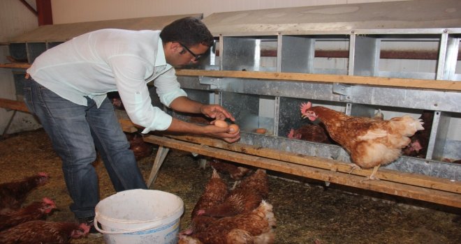 Medyada Haberlerini Gördü, Devlet Desteğiyle Çiftlik Kurdu