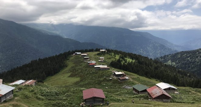 Herkes Bu Yaylalara Koşuyor