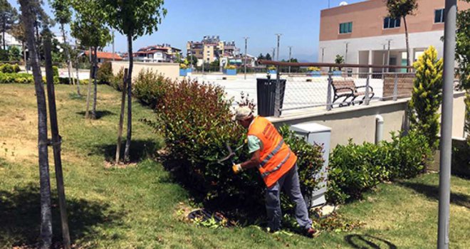 TÜRKBELENİ KENT PARKI'NA 12 BİN 400 ÇİÇEK DİKİLDİ