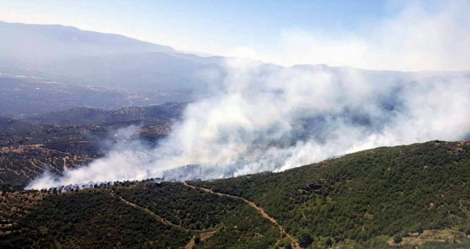 Ormancıların Zamanında Müdahalesi Yangının Büyümesini Önledi