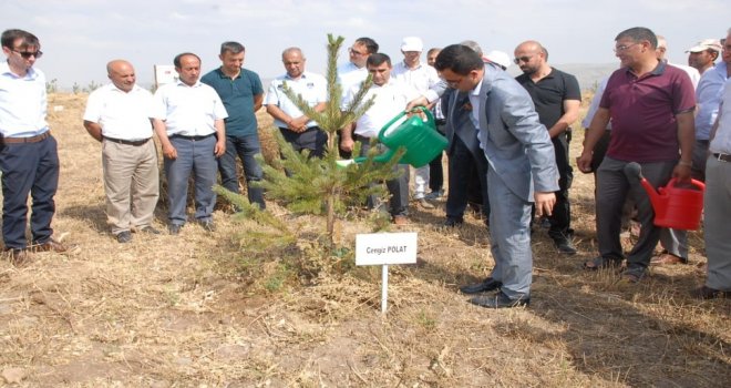 Bulanıkta 15 Temmuz Etkinlikleri Başladı