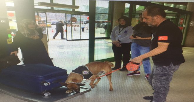 Aranan 23 Şahıs Uygulamada Yakalandı