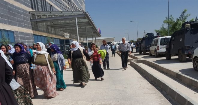 (Tekrar) Şanlıurfada Sulama Kavgası: 3 Ölü, 1 Yaralı