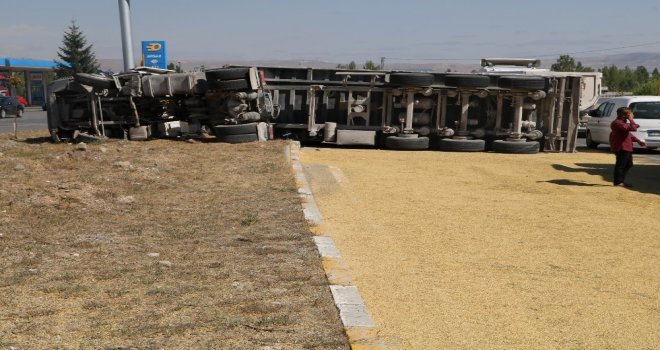 Tır Devrildi, Tonlarca Arpa Karayoluna Saçıldı